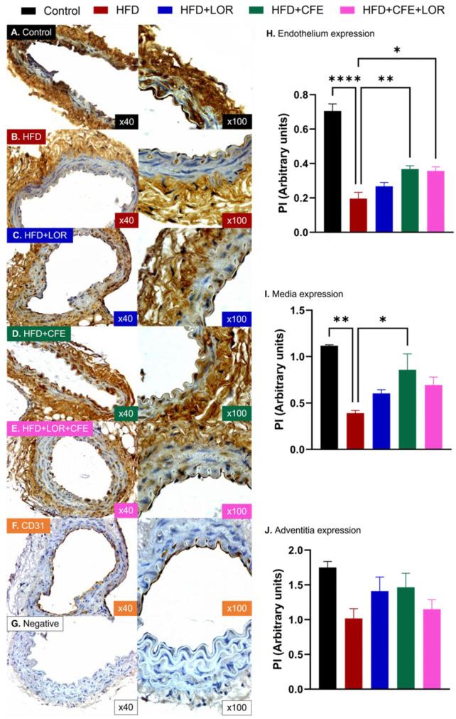 https://cdn.ncbi.nlm.nih.gov/pmc/blobs/3a44/11678847/0714dbae35f7/nutrients-16-04296-g006.jpg