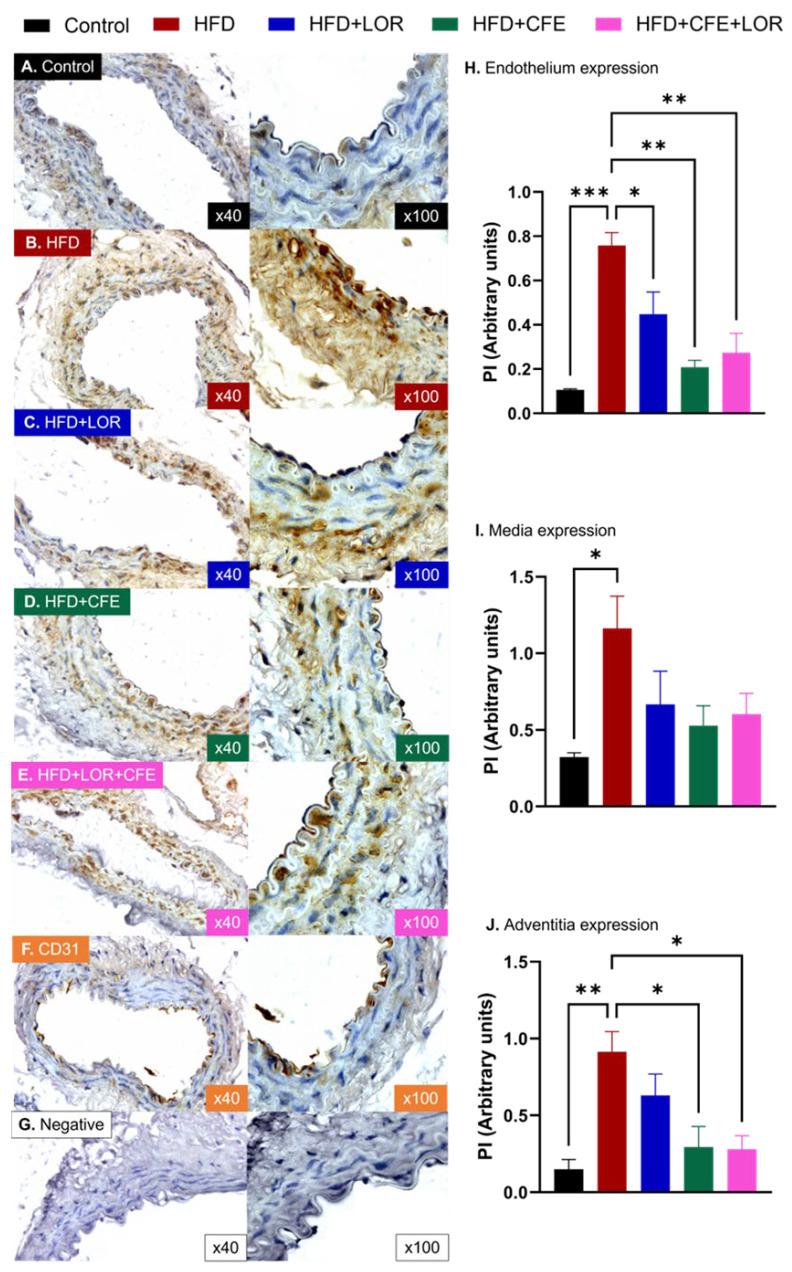 https://cdn.ncbi.nlm.nih.gov/pmc/blobs/3a44/11678847/d601a0ac5508/nutrients-16-04296-g008.jpg