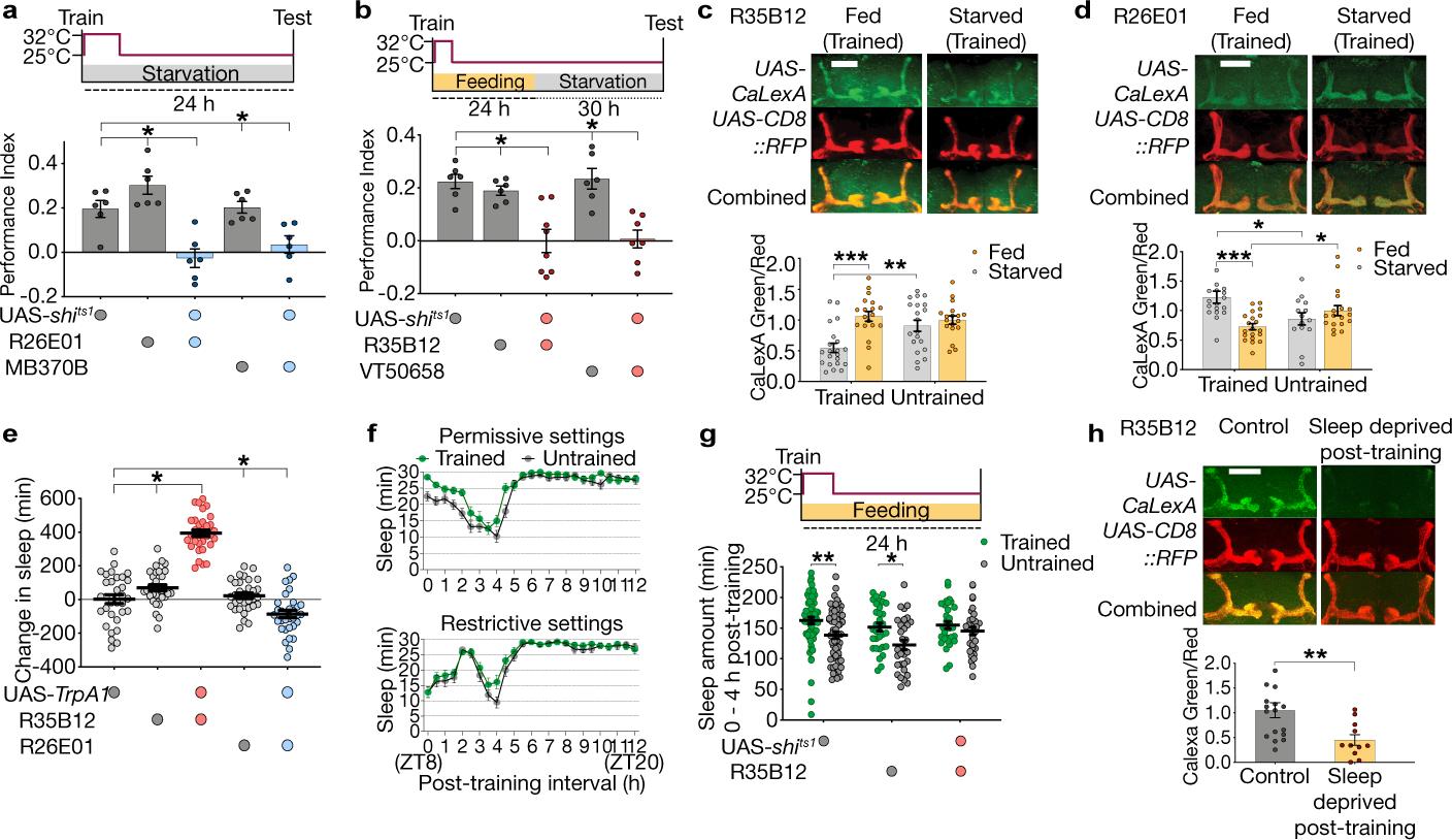 https://cdn.ncbi.nlm.nih.gov/pmc/blobs/3a44/7856038/68dfa3a1d3df/nihms-1636738-f0002.jpg