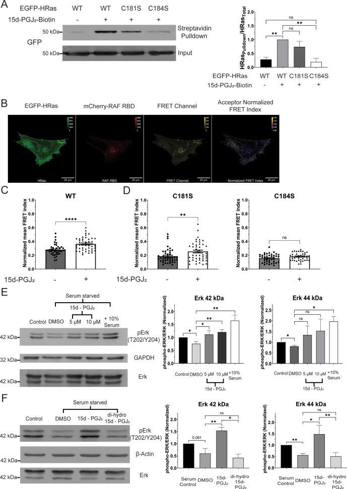 https://cdn.ncbi.nlm.nih.gov/pmc/blobs/3a47/11357351/a33a87899e0e/elife-95229-fig3.jpg