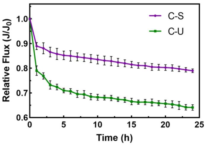 https://cdn.ncbi.nlm.nih.gov/pmc/blobs/3a48/11205350/073d24e2e3f9/membranes-14-00125-g008.jpg