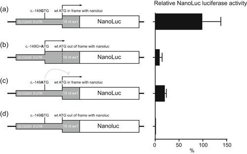 https://cdn.ncbi.nlm.nih.gov/pmc/blobs/3a48/6790604/1874767ce0e3/HUMU-40-1899-g002.jpg