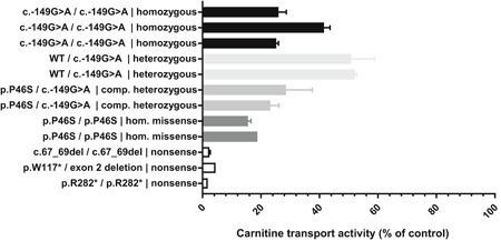 https://cdn.ncbi.nlm.nih.gov/pmc/blobs/3a48/6790604/37c7069eae07/HUMU-40-1899-g003.jpg