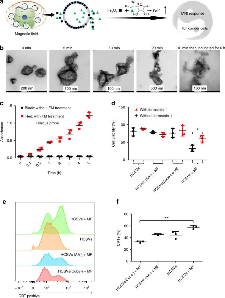 https://cdn.ncbi.nlm.nih.gov/pmc/blobs/3a49/7371635/70ab72c8bb1f/41467_2020_17380_Fig1_HTML.jpg