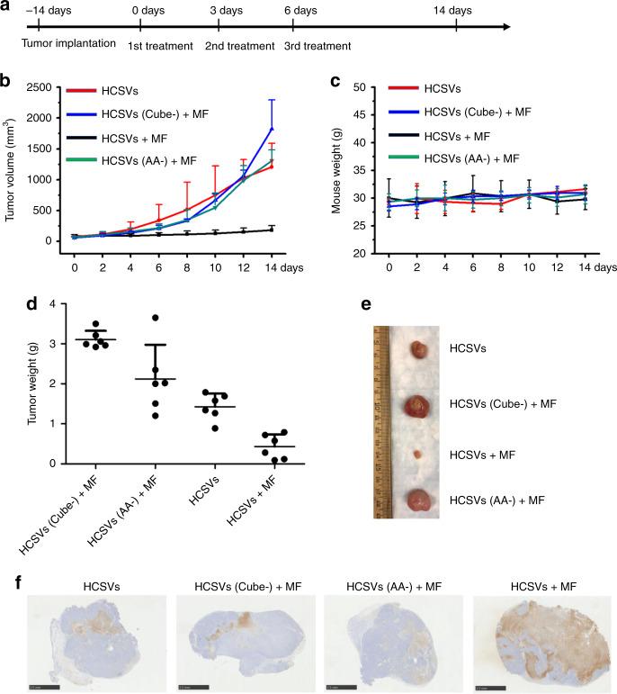 https://cdn.ncbi.nlm.nih.gov/pmc/blobs/3a49/7371635/a74b1f66bcb0/41467_2020_17380_Fig3_HTML.jpg