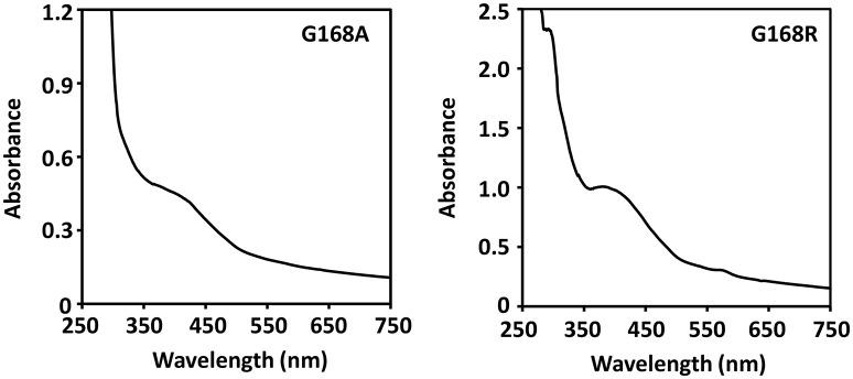 https://cdn.ncbi.nlm.nih.gov/pmc/blobs/3a4b/5368176/a196d77b34ca/fchem-05-00014-g0005.jpg