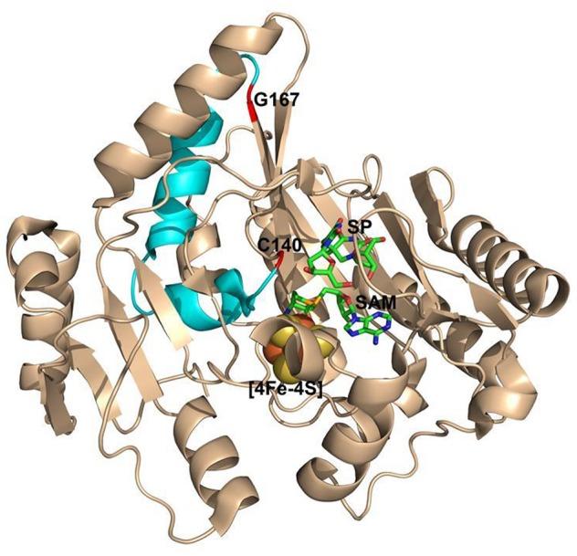 https://cdn.ncbi.nlm.nih.gov/pmc/blobs/3a4b/5368176/e1af90506e34/fchem-05-00014-g0009.jpg