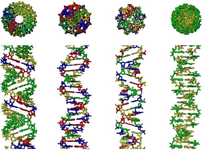 https://cdn.ncbi.nlm.nih.gov/pmc/blobs/3a4b/6888028/5e28dc3a0741/ijms-20-05605-g001.jpg