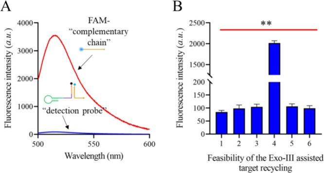 https://cdn.ncbi.nlm.nih.gov/pmc/blobs/3a4c/11840618/70d410288a78/ao4c11417_0002.jpg