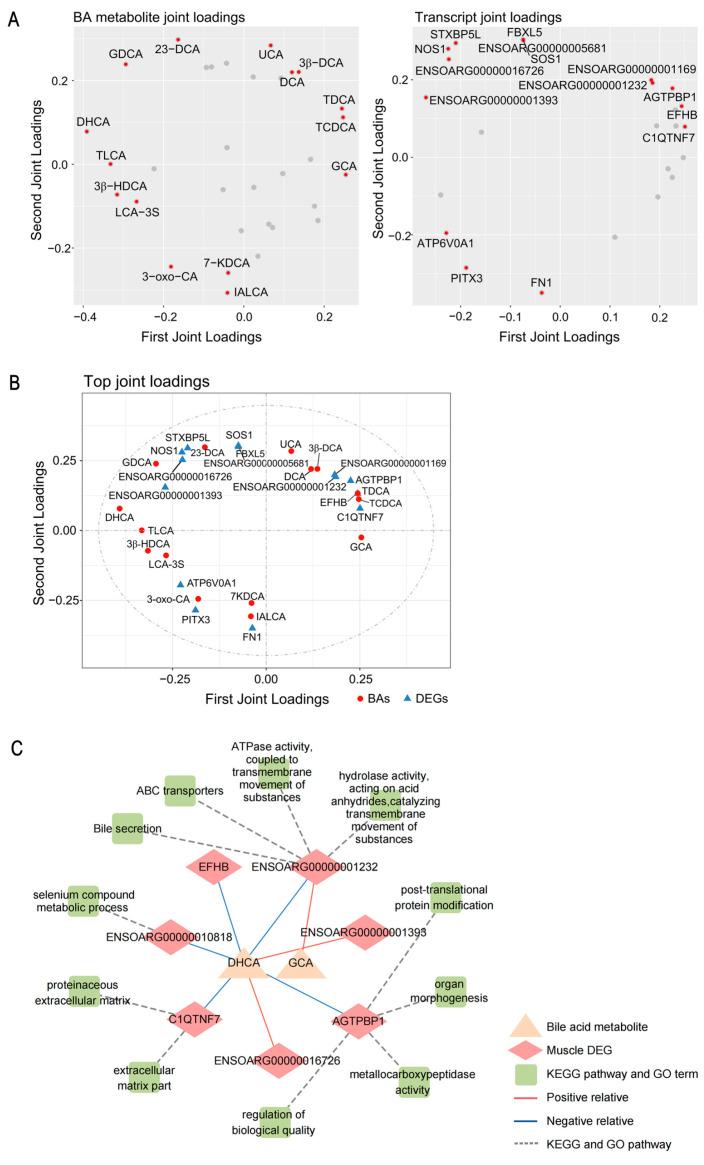 https://cdn.ncbi.nlm.nih.gov/pmc/blobs/3a4d/12250145/d9b501b7f824/ijms-26-06224-g004.jpg