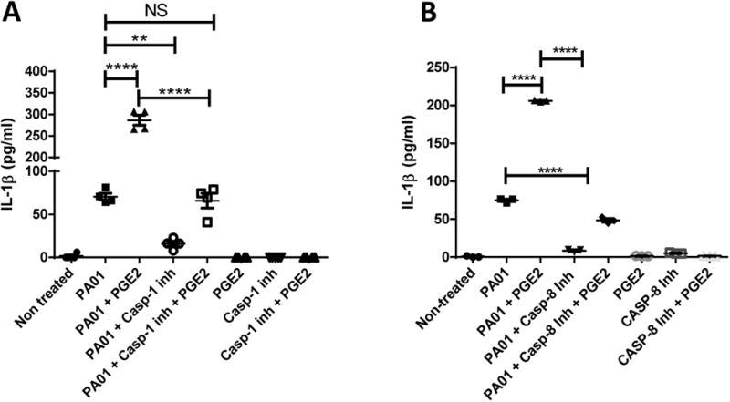 https://cdn.ncbi.nlm.nih.gov/pmc/blobs/3a4f/5720939/f8922aafe878/nihms873922f6.jpg