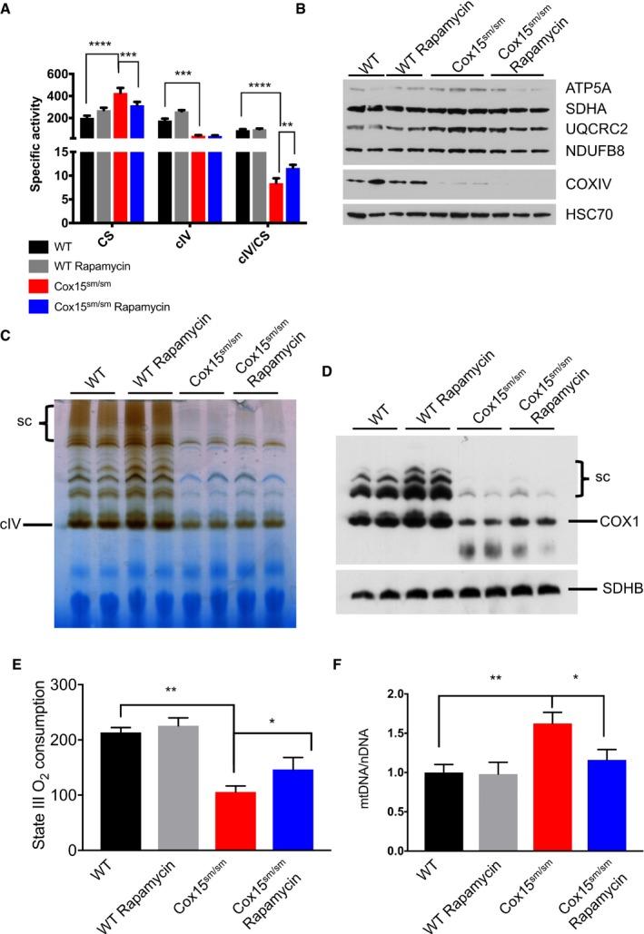 https://cdn.ncbi.nlm.nih.gov/pmc/blobs/3a4f/6220341/907f5ce69df2/EMMM-10-e8799-g003.jpg