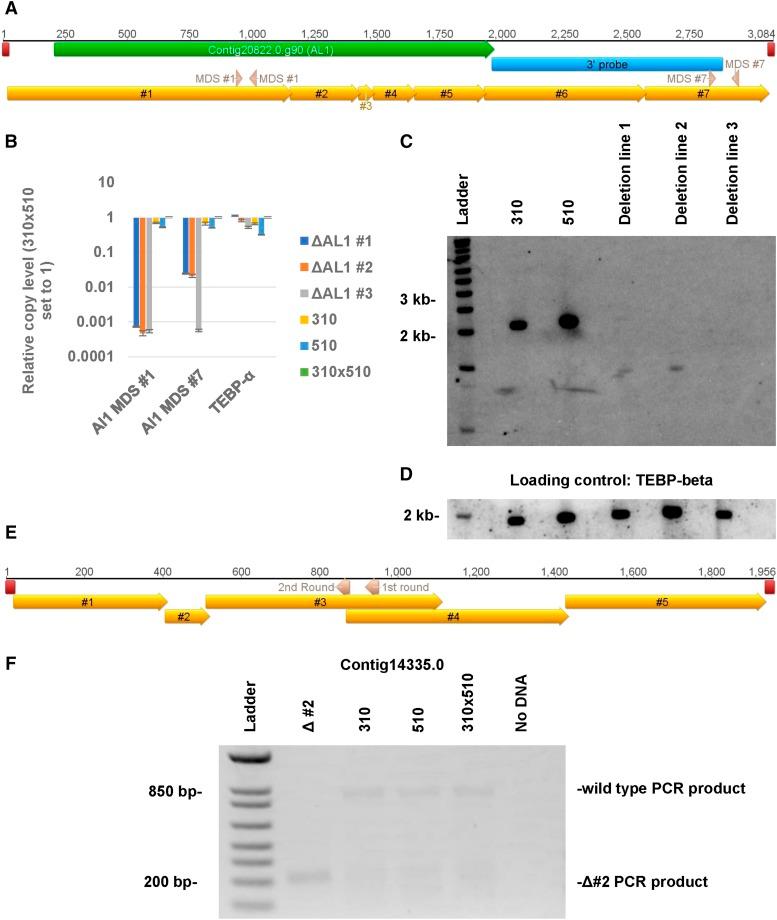 https://cdn.ncbi.nlm.nih.gov/pmc/blobs/3a52/6778801/eb99497ee630/3105f3.jpg