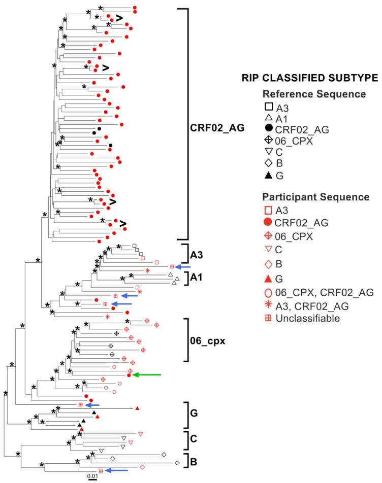 https://cdn.ncbi.nlm.nih.gov/pmc/blobs/3a52/9865111/ce8ff5058393/viruses-15-00128-g004.jpg