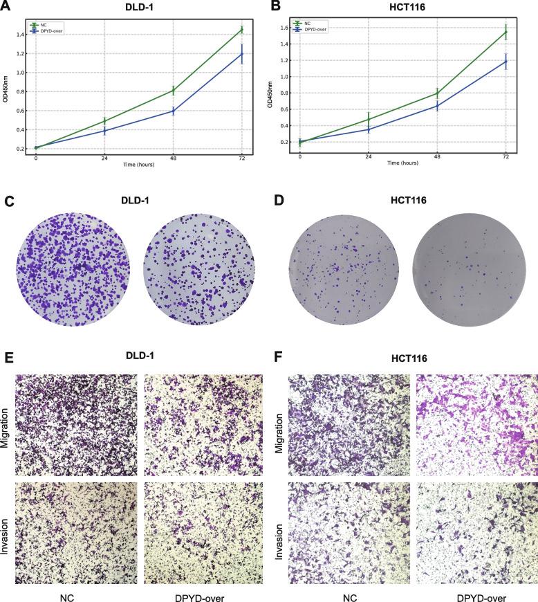 https://cdn.ncbi.nlm.nih.gov/pmc/blobs/3a53/12210834/294e8d62917e/12876_2025_4051_Fig6_HTML.jpg