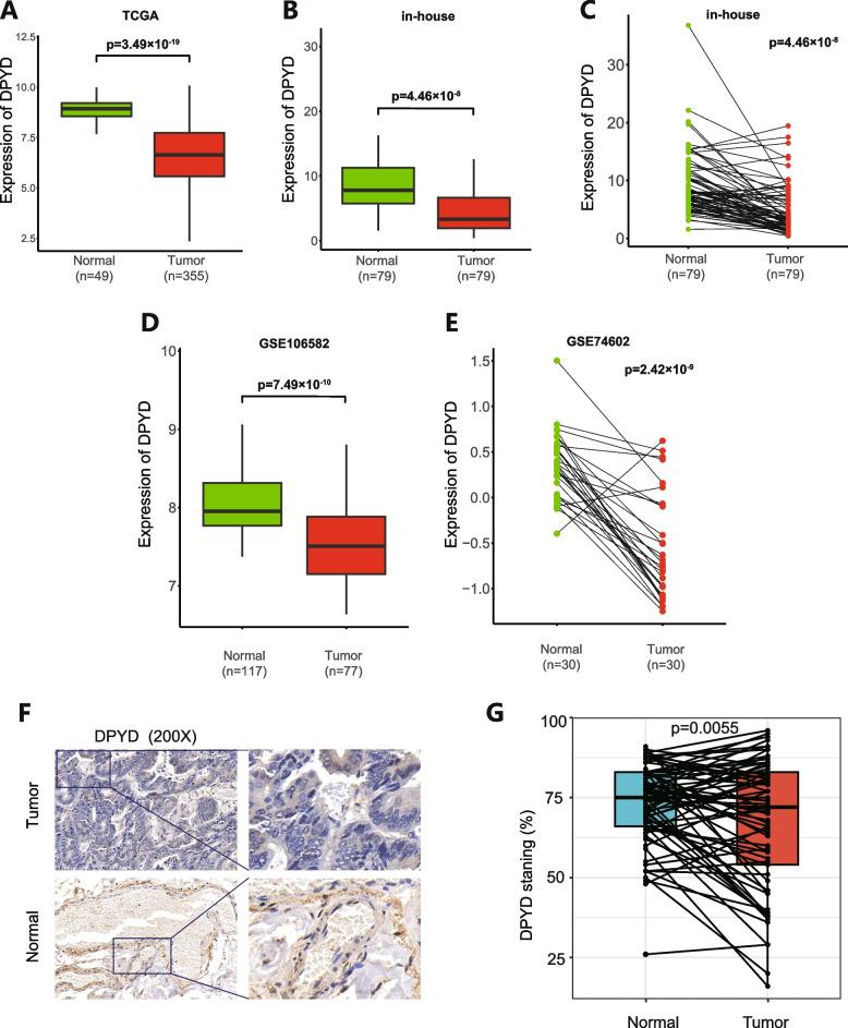 https://cdn.ncbi.nlm.nih.gov/pmc/blobs/3a53/12210834/74a209484a85/12876_2025_4051_Fig5_HTML.jpg