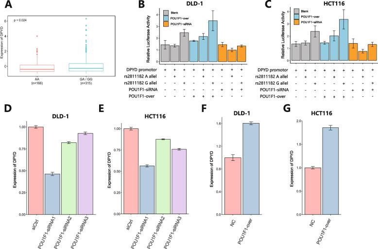 https://cdn.ncbi.nlm.nih.gov/pmc/blobs/3a53/12210834/ed17f3366982/12876_2025_4051_Fig4_HTML.jpg