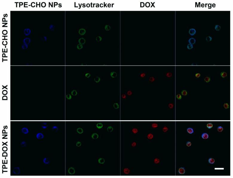 https://cdn.ncbi.nlm.nih.gov/pmc/blobs/3a54/12029280/5728dd78a3a4/molecules-30-01782-g007.jpg