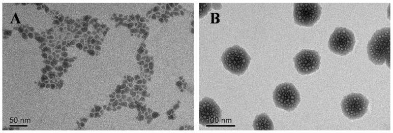 https://cdn.ncbi.nlm.nih.gov/pmc/blobs/3a54/12029280/65a075a659ca/molecules-30-01782-g004.jpg