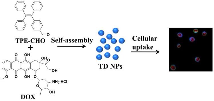 https://cdn.ncbi.nlm.nih.gov/pmc/blobs/3a54/12029280/c045bfb57fd2/molecules-30-01782-g001.jpg