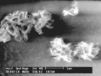 https://cdn.ncbi.nlm.nih.gov/pmc/blobs/3a55/4318219/0cfae71f1143/f0002.jpg