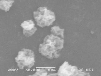 https://cdn.ncbi.nlm.nih.gov/pmc/blobs/3a55/4318219/d4ed6408607d/f0001.jpg