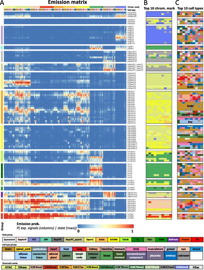 https://cdn.ncbi.nlm.nih.gov/pmc/blobs/3a56/10294404/1370ec94ca4a/13059_2023_2994_Fig1_HTML.jpg