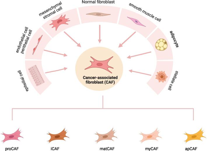 https://cdn.ncbi.nlm.nih.gov/pmc/blobs/3a56/11649616/2e6724642d6c/43556_2024_233_Fig1_HTML.jpg