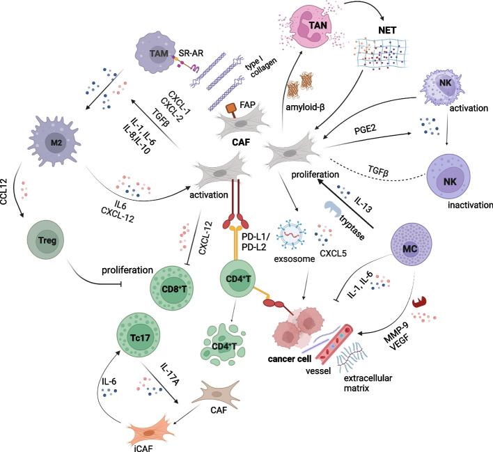 https://cdn.ncbi.nlm.nih.gov/pmc/blobs/3a56/11649616/3e0a5df47bc5/43556_2024_233_Fig2_HTML.jpg