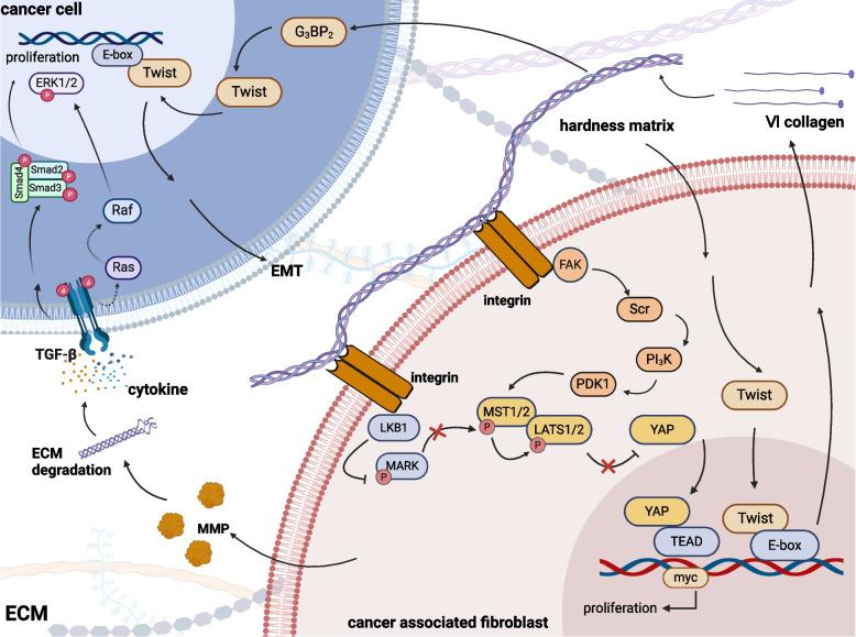 https://cdn.ncbi.nlm.nih.gov/pmc/blobs/3a56/11649616/69a68cf3116c/43556_2024_233_Fig3_HTML.jpg