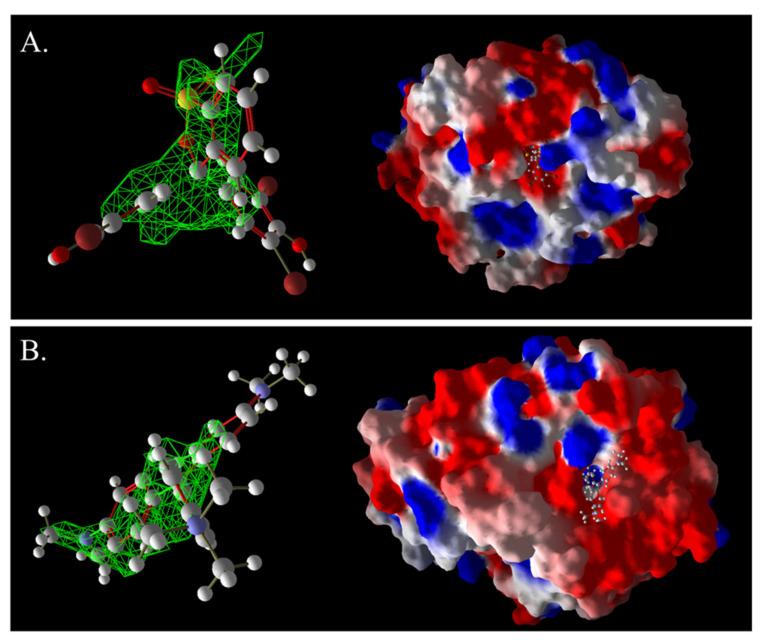 https://cdn.ncbi.nlm.nih.gov/pmc/blobs/3a58/12428645/00c2749a3762/ijms-26-08363-g016.jpg