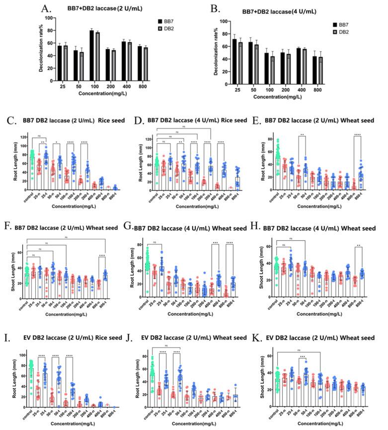 https://cdn.ncbi.nlm.nih.gov/pmc/blobs/3a58/12428645/5c8776c6de0a/ijms-26-08363-g009a.jpg