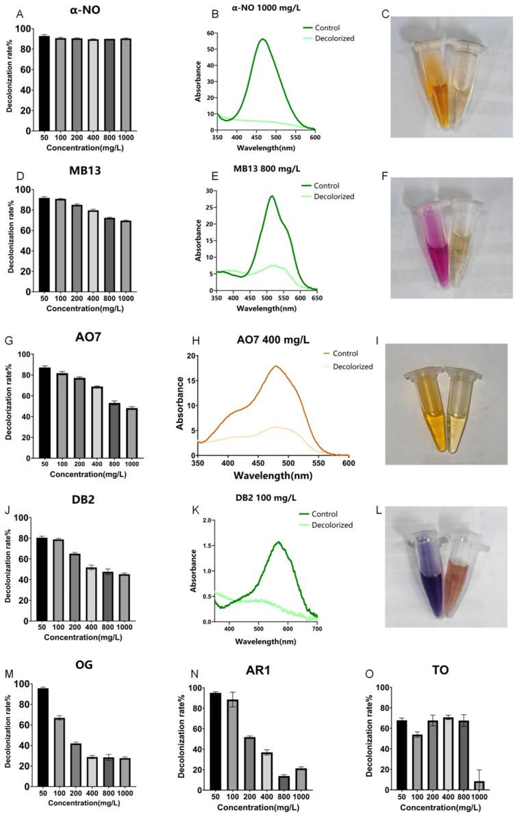 https://cdn.ncbi.nlm.nih.gov/pmc/blobs/3a58/12428645/5d03b934d503/ijms-26-08363-g001.jpg