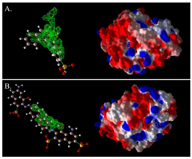 https://cdn.ncbi.nlm.nih.gov/pmc/blobs/3a58/12428645/ff40c14525be/ijms-26-08363-g013.jpg