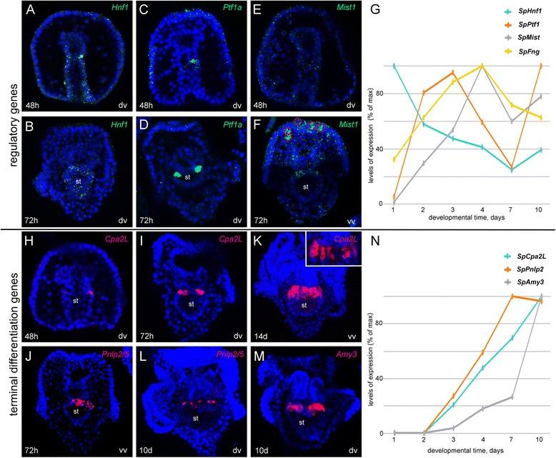 https://cdn.ncbi.nlm.nih.gov/pmc/blobs/3a58/4880809/3c30bebf2e8c/12862_2016_686_Fig1_HTML.jpg