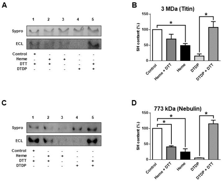 https://cdn.ncbi.nlm.nih.gov/pmc/blobs/3a58/7663642/e3db2642fee9/ijms-21-08172-g003.jpg
