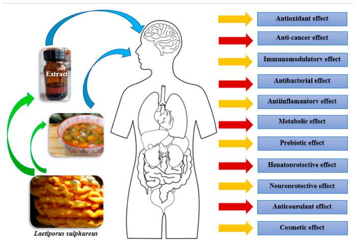 https://cdn.ncbi.nlm.nih.gov/pmc/blobs/3a59/10093887/bf84d2c5440e/foods-12-01539-g004.jpg