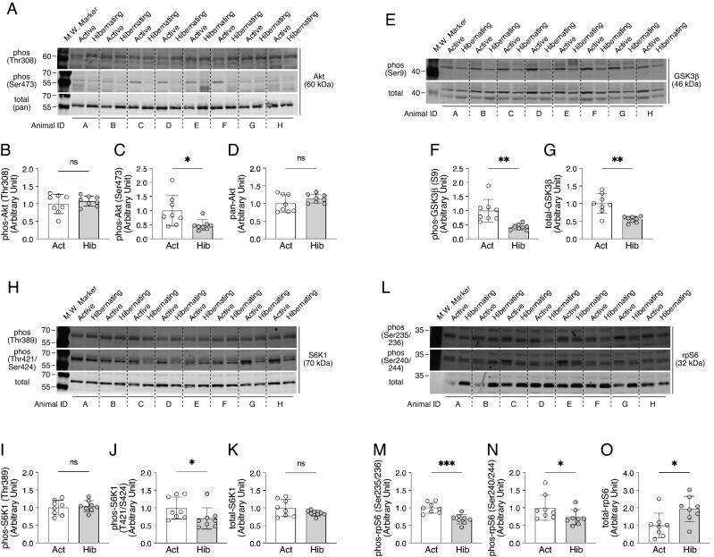 https://cdn.ncbi.nlm.nih.gov/pmc/blobs/3a59/9668988/5c855fc04da9/41598_2022_24251_Fig2_HTML.jpg