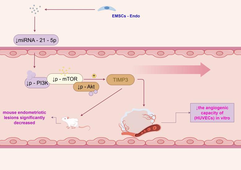 https://cdn.ncbi.nlm.nih.gov/pmc/blobs/3a5b/12198163/25daf51b2351/fimmu-16-1623859-g001.jpg