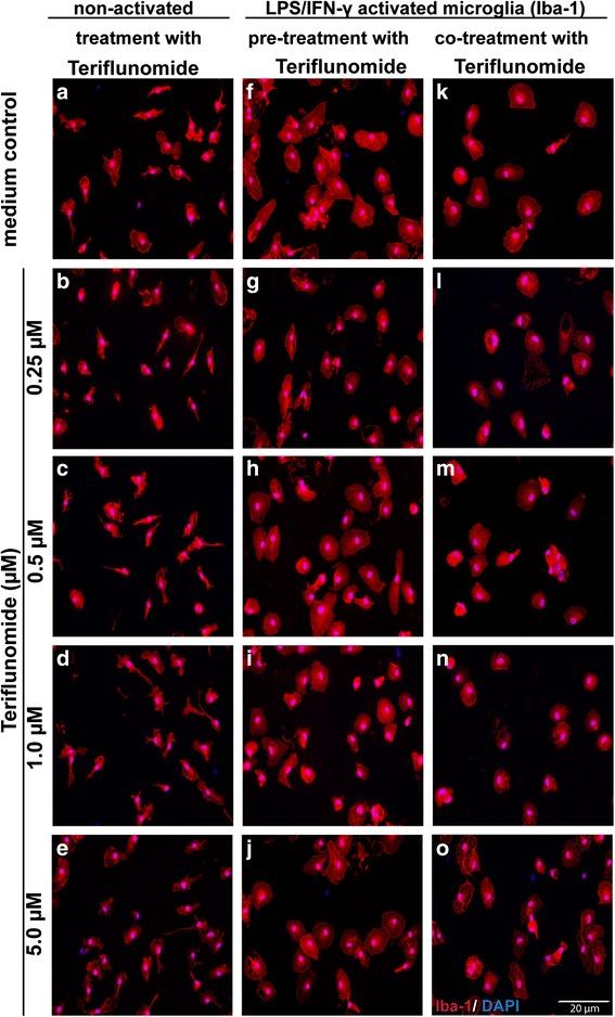 https://cdn.ncbi.nlm.nih.gov/pmc/blobs/3a5b/5034581/c8db4a659e1f/12974_2016_715_Fig2_HTML.jpg