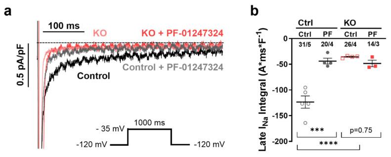 https://cdn.ncbi.nlm.nih.gov/pmc/blobs/3a5c/10299073/7341d41d6af9/ijms-24-10189-g002.jpg