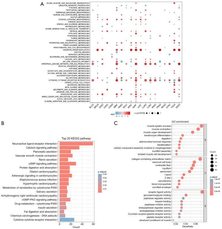 https://cdn.ncbi.nlm.nih.gov/pmc/blobs/3a5c/12170108/1f843b8d0349/tcr-14-05-3069-f6.jpg