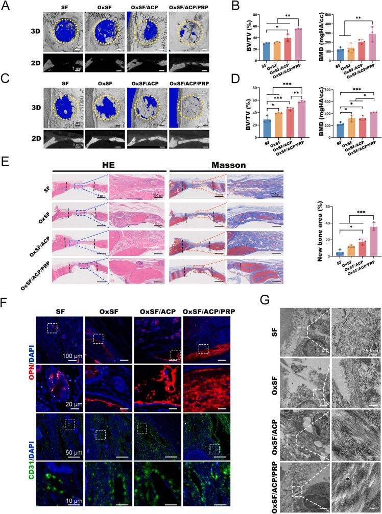 https://cdn.ncbi.nlm.nih.gov/pmc/blobs/3a5d/10873665/5da4030484a3/gr5.jpg