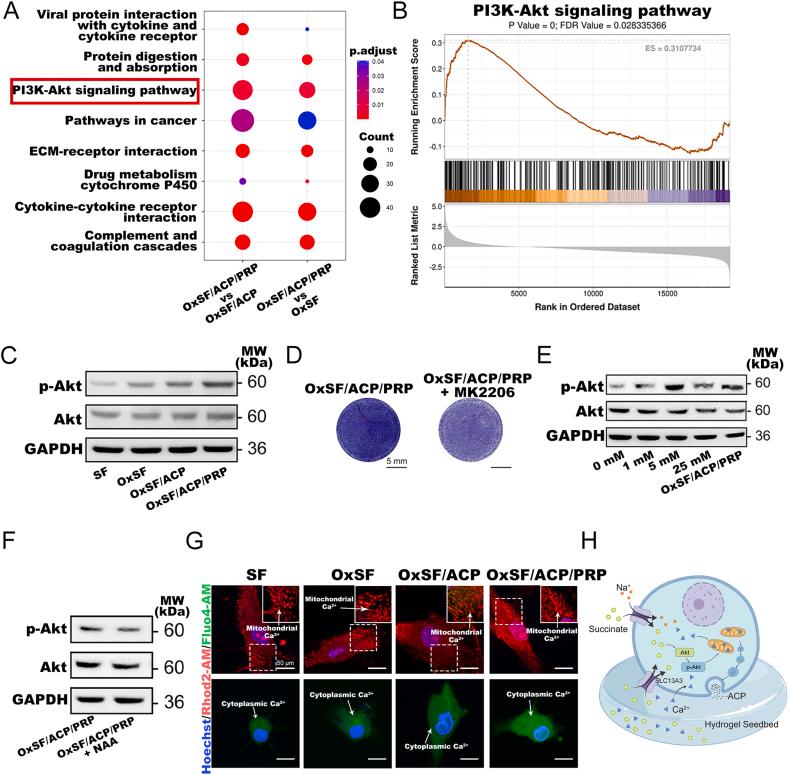 https://cdn.ncbi.nlm.nih.gov/pmc/blobs/3a5d/10873665/6fc5f8a5fd95/gr7.jpg