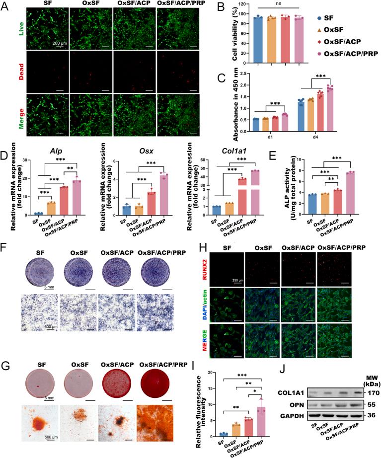 https://cdn.ncbi.nlm.nih.gov/pmc/blobs/3a5d/10873665/7d959cef7ab4/gr3.jpg