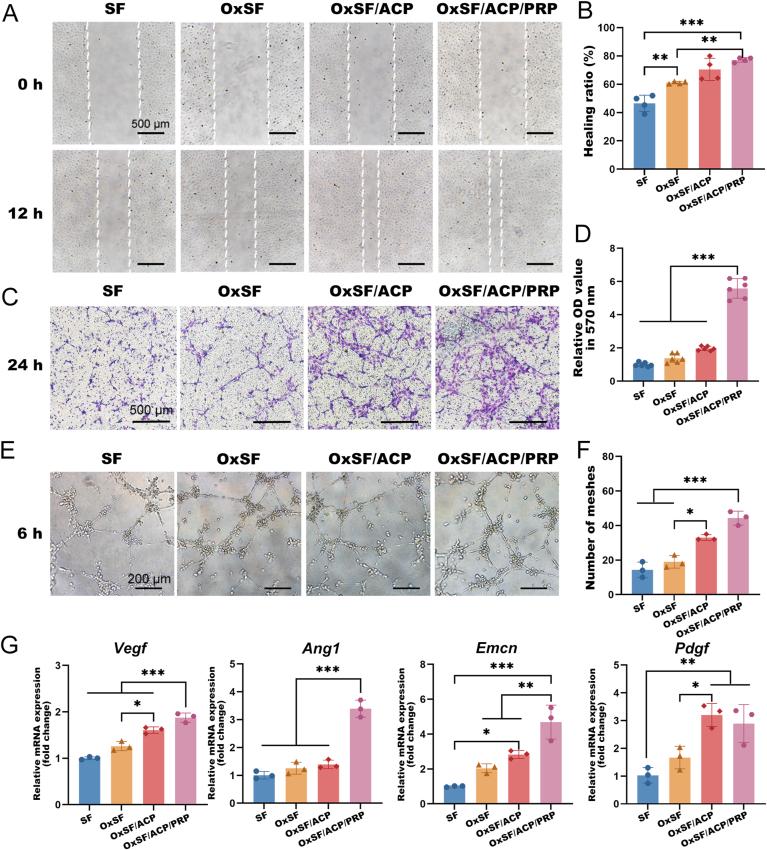 https://cdn.ncbi.nlm.nih.gov/pmc/blobs/3a5d/10873665/c2c63dc9f69d/gr4.jpg