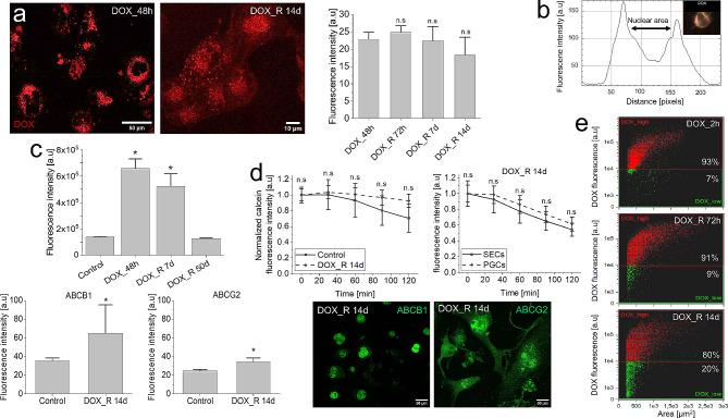 https://cdn.ncbi.nlm.nih.gov/pmc/blobs/3a5d/11318163/4ab7fdf5ae92/12967_2024_5541_Fig7_HTML.jpg