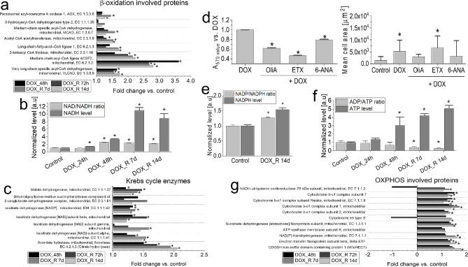 https://cdn.ncbi.nlm.nih.gov/pmc/blobs/3a5d/11318163/74d60e608998/12967_2024_5541_Fig4_HTML.jpg