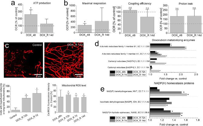 https://cdn.ncbi.nlm.nih.gov/pmc/blobs/3a5d/11318163/7e0014b0b2fb/12967_2024_5541_Fig6_HTML.jpg