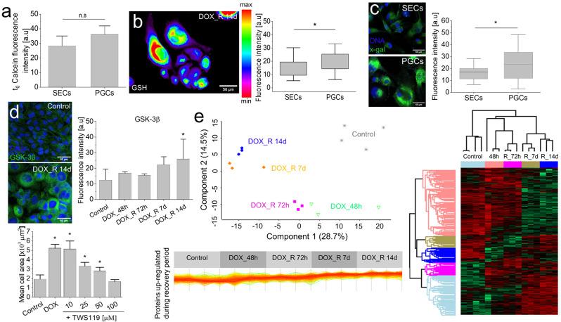 https://cdn.ncbi.nlm.nih.gov/pmc/blobs/3a5d/11318163/a1e12ce8d68f/12967_2024_5541_Fig3_HTML.jpg